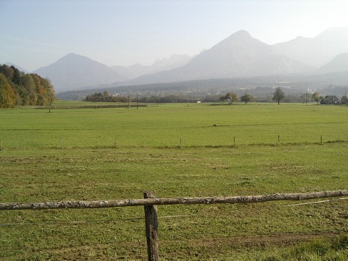 Zeluce 191003 028.jpg